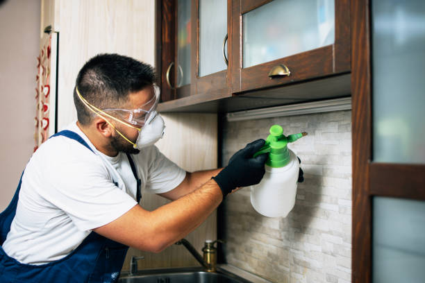 Pest Control for Restaurants in North Spearfish, SD