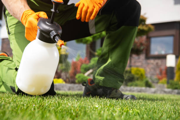 Best Residential Pest Control  in North Spearfish, SD