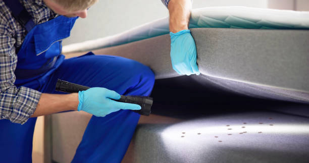 Best Wasp Removal Services  in North Spearfish, SD