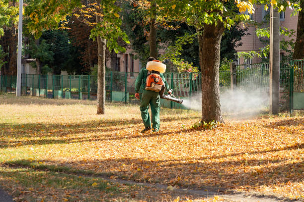 Best Pest Prevention Services  in North Spearfish, SD