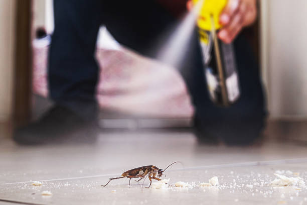 Best Wasp Removal Services  in North Spearfish, SD